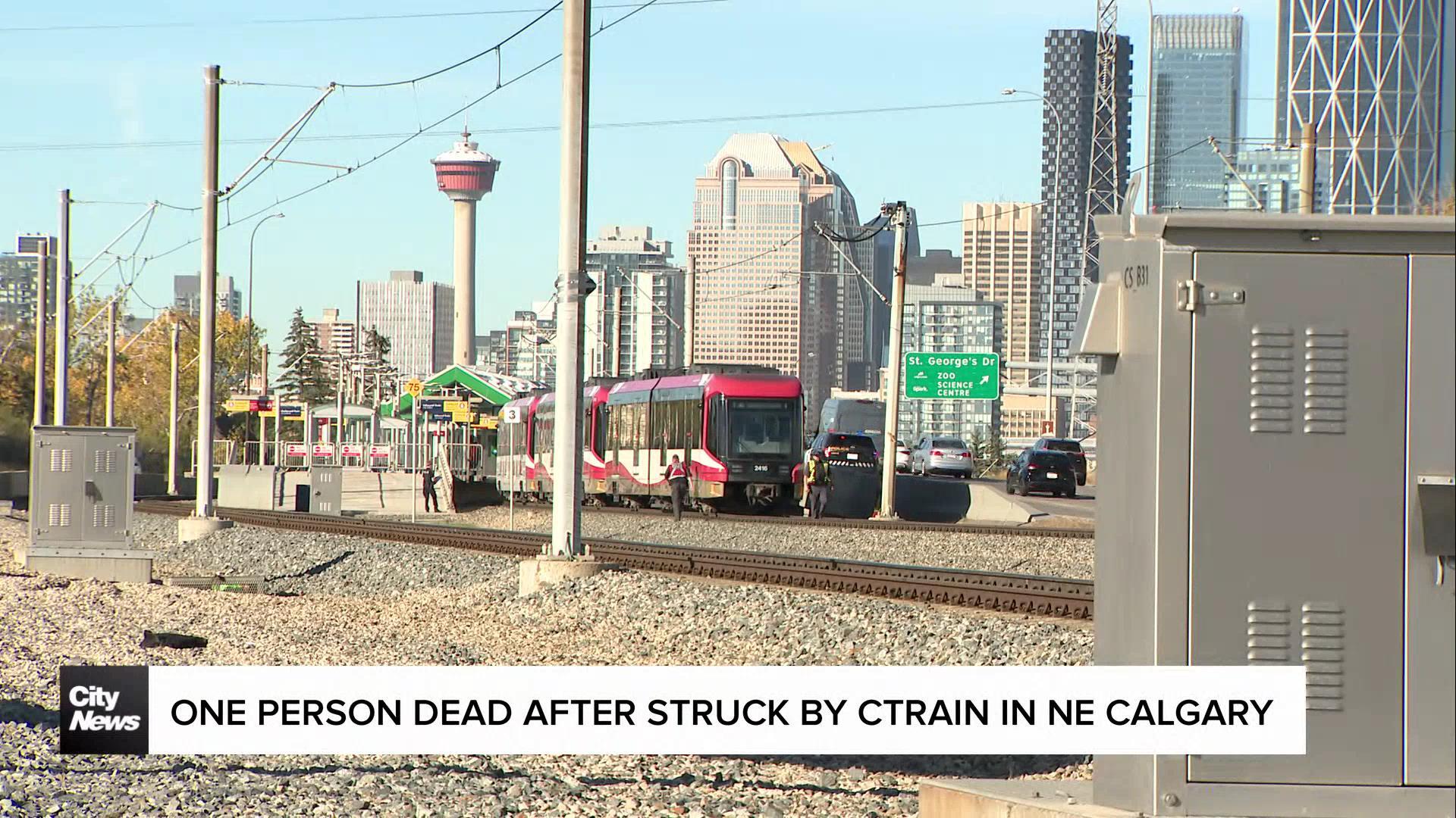 One dead after being hit by CTrain in NE Calgary