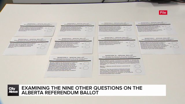 The other 9 referendum questions