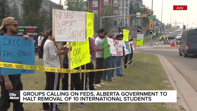 Groups calling on Feds, Alberta government to halt removal of 10 international students
