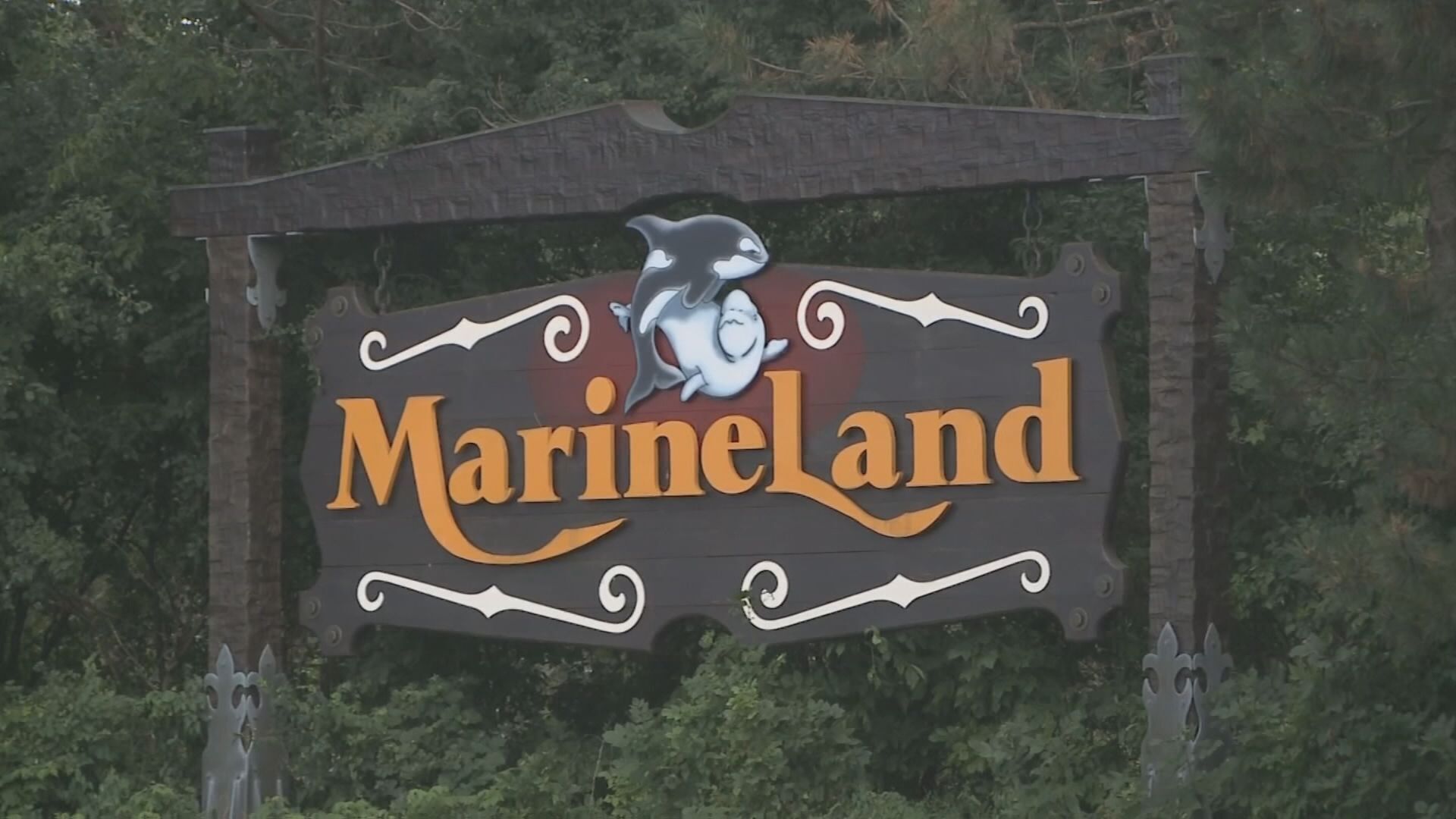 Marineland moving bears to Colorado animal sanctuary