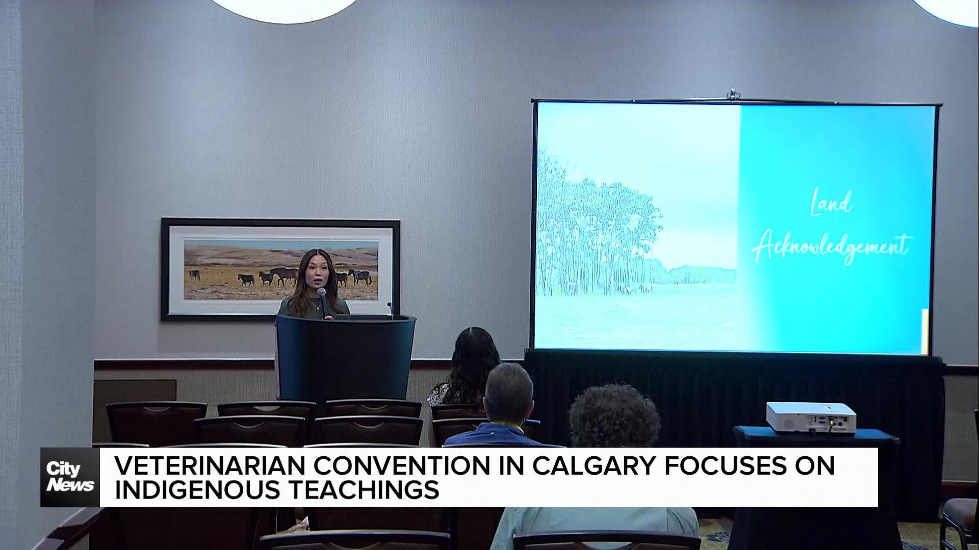 Veterinarian Convention in Calgary focuses on Indigenous teachings