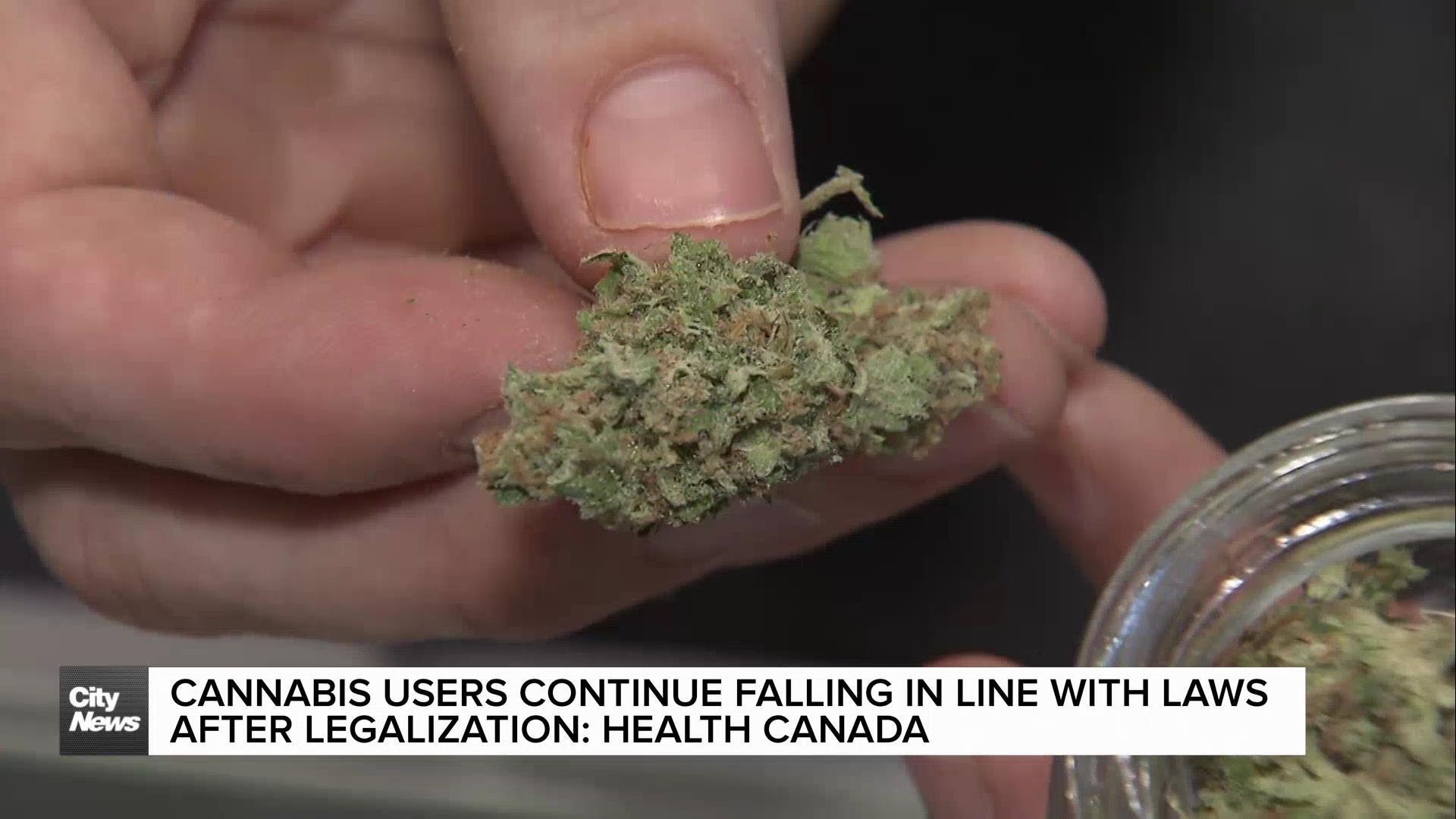 Cannabis users continue falling in line with laws after legalization: Health Canada