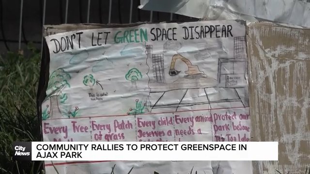 Community rallies to protect greenspace in Ajax park