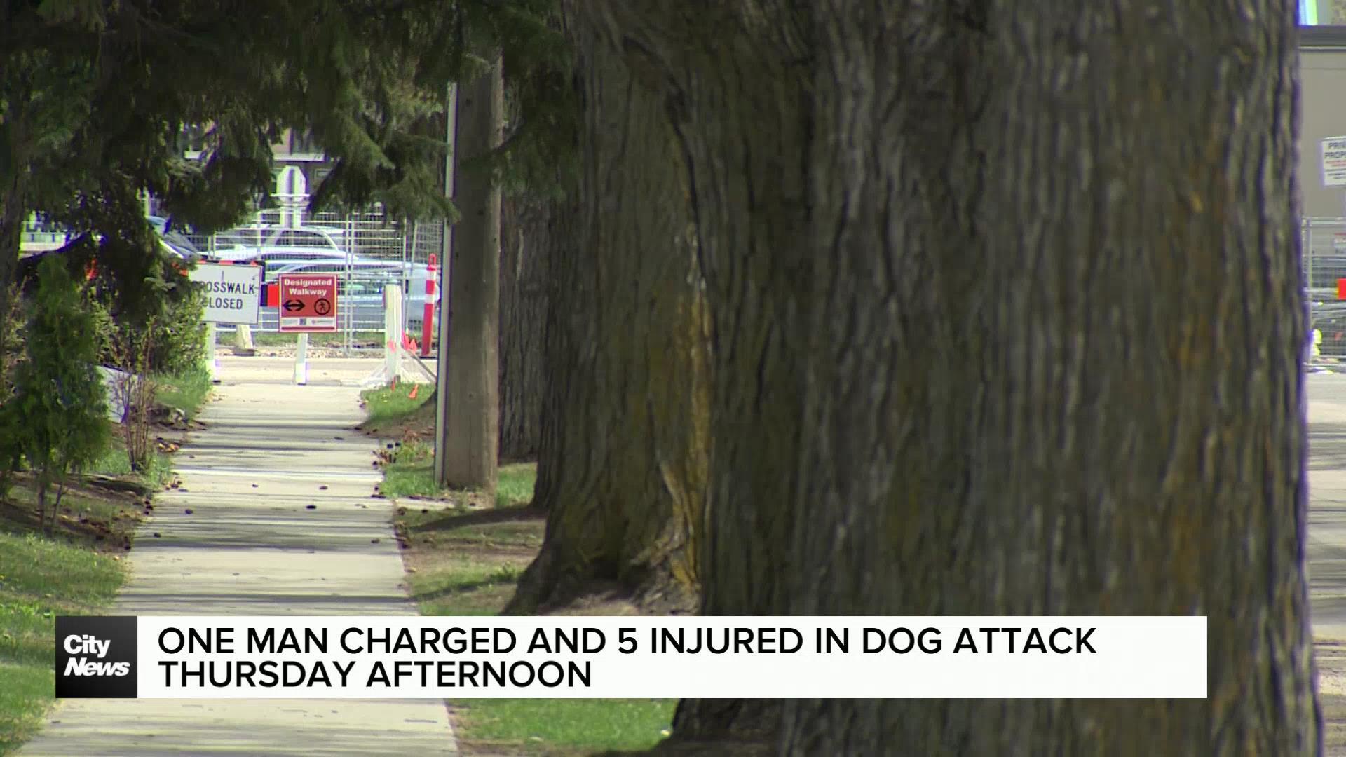 Multiple people injured in dog attack in West Edmonton Thursday