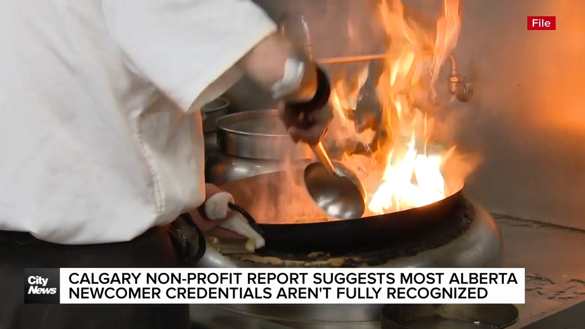 Calgary non-profit report suggests most Alberta newcomer credentials aren’t fully recognized