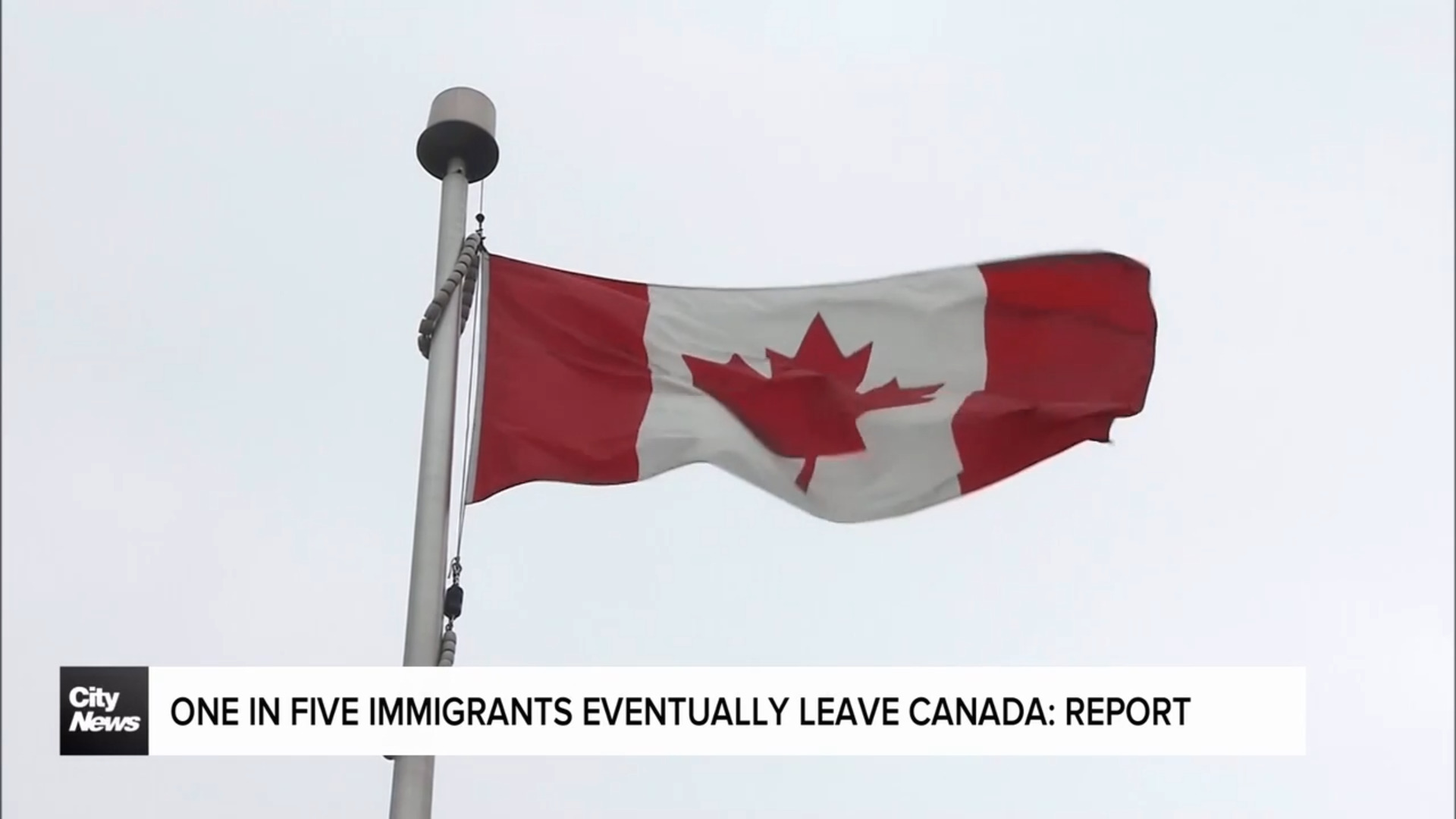 Why are some immigrants choosing to leave Canada?