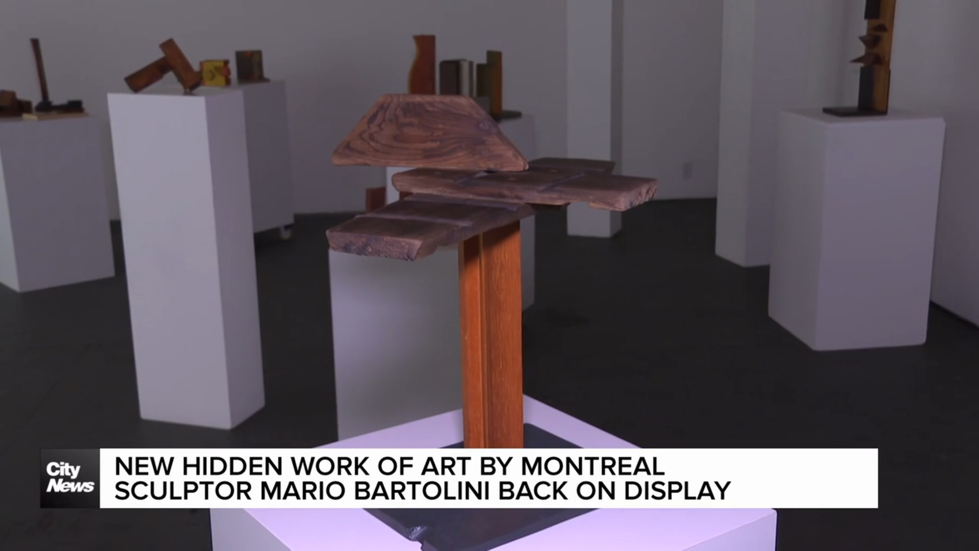Mario Bartolini Exhibit returns to Montreal with new family activity