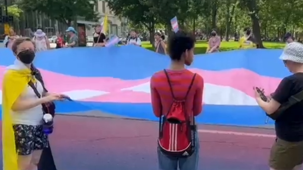 Montrealers celebrate Pride, show support at Trans March - Video - CityNews  Montreal