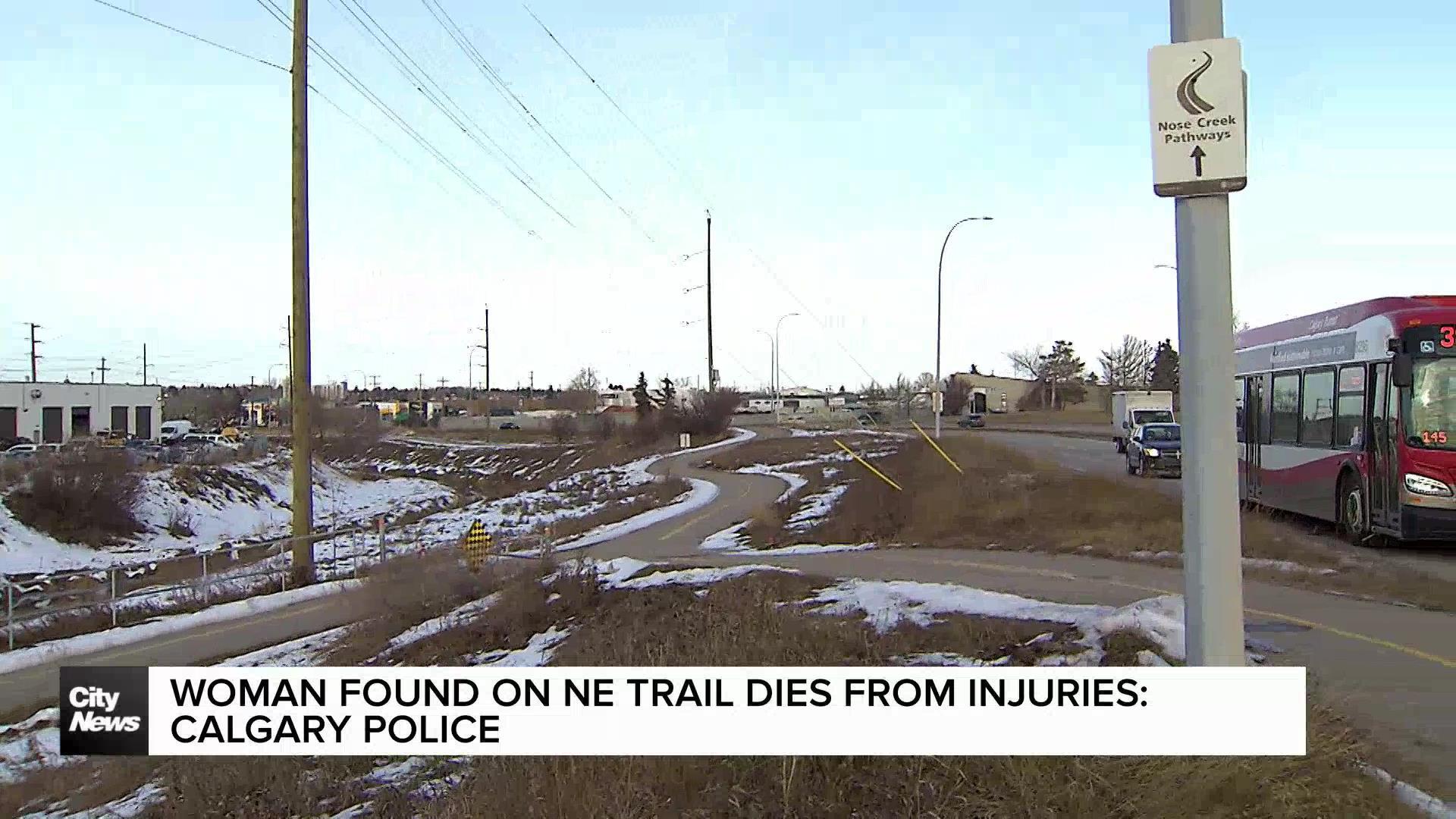 Woman in 20s dies after attack on NE Calgary pathway: police