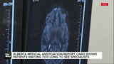 Alberta Medical Association report card shows patients waiting too long to see specialists