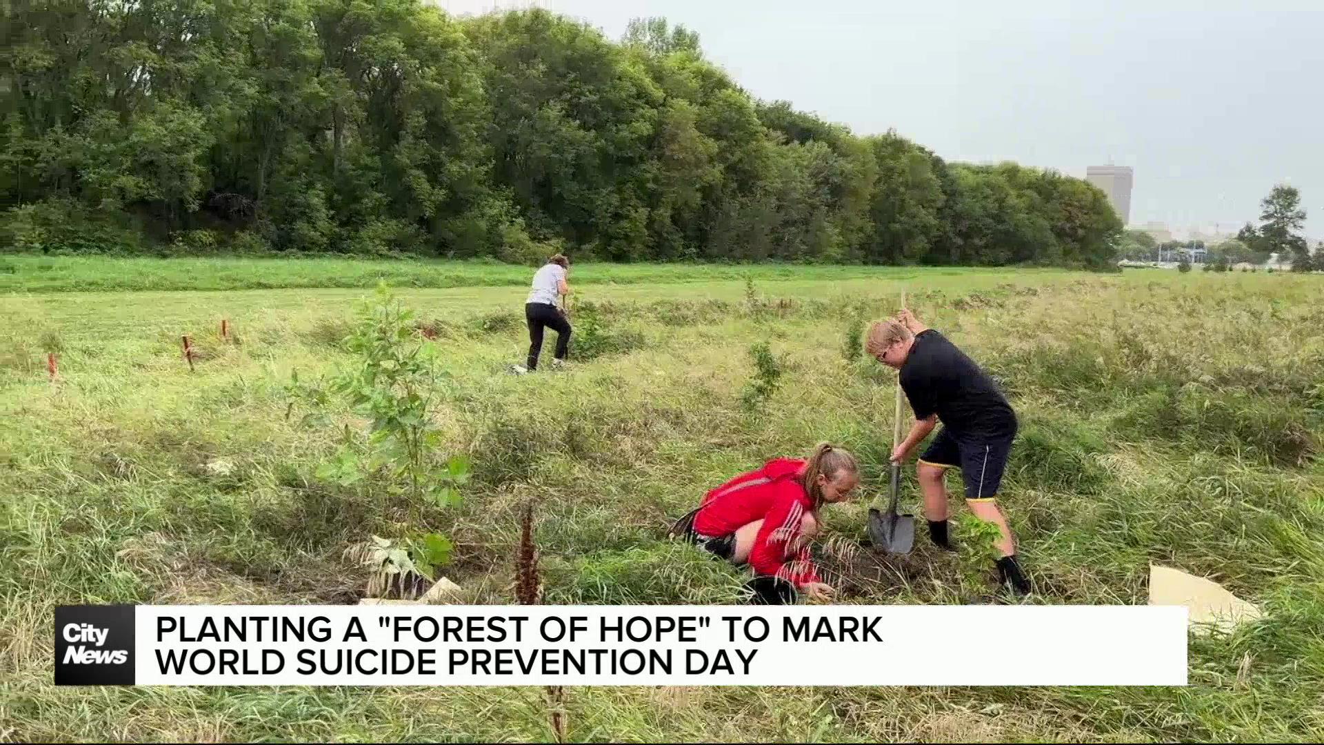 Winnipeggers plant “Forest of Hope” to mark World Suicide Prevention Day