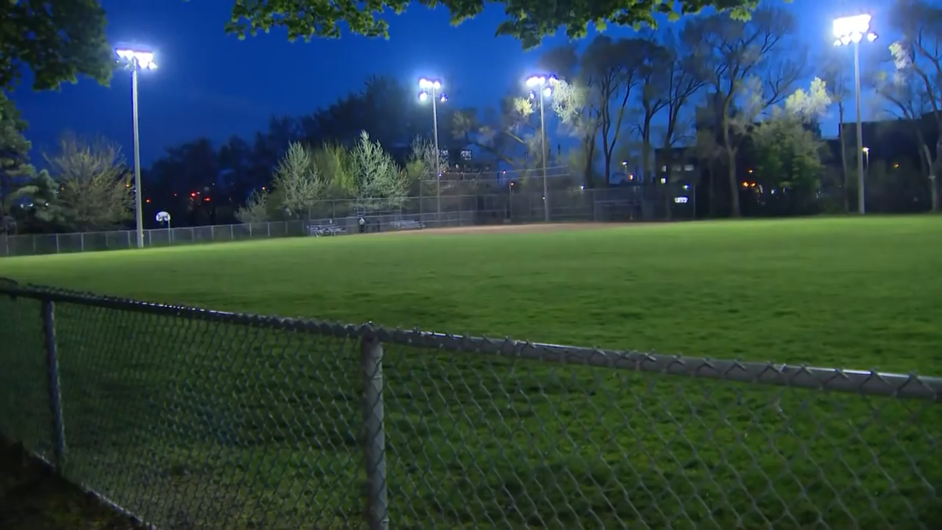 'No home runs': city removes controversial rule for local ball diamond