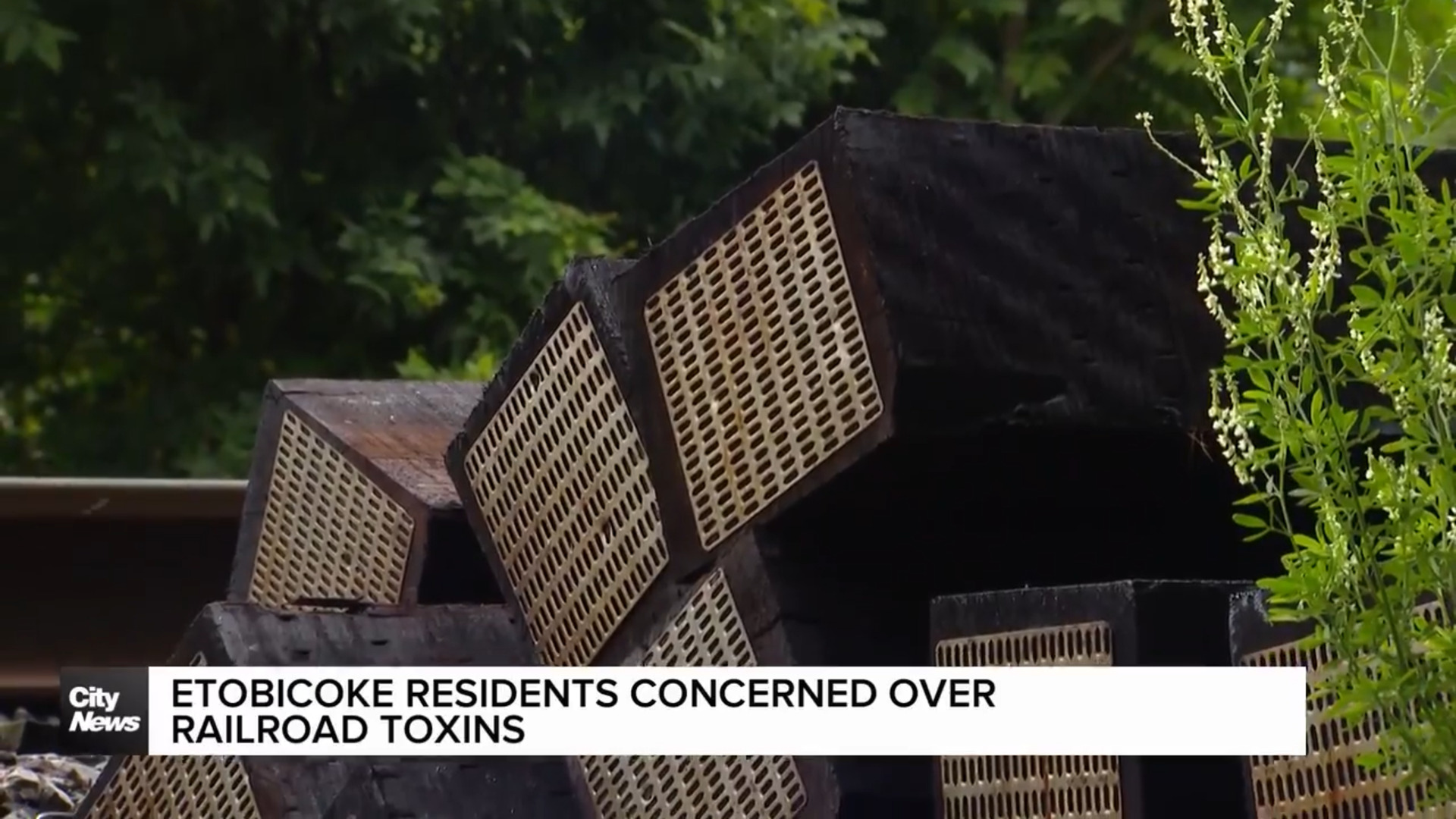 Etobicoke Residents concerned over dropping of railroad toxins next to backyard