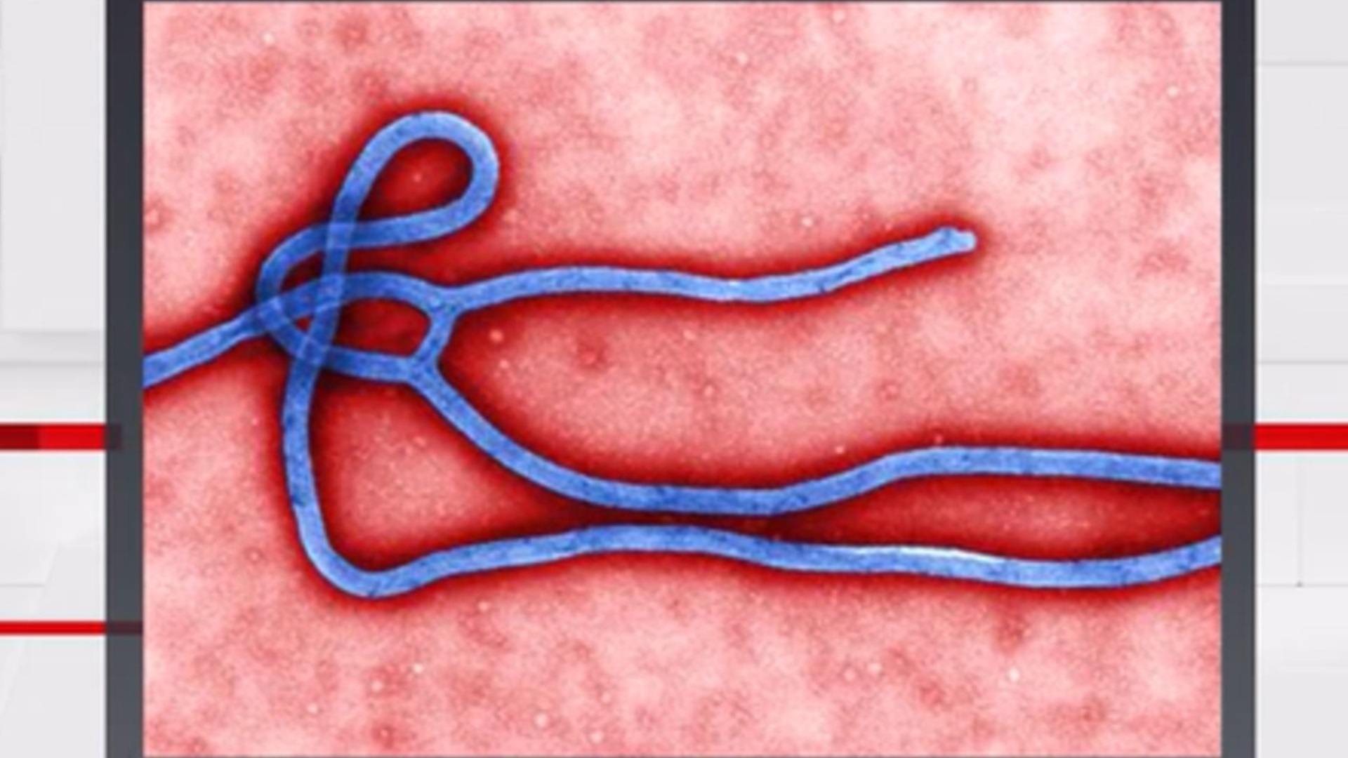 Health officials continue to monitor Ebola outbreak