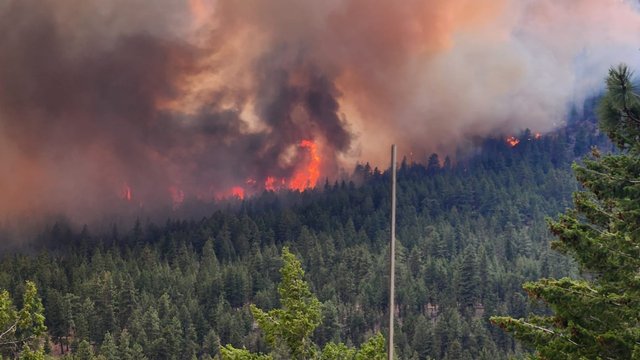 B.C. wildfires continue to burn as officials provide update