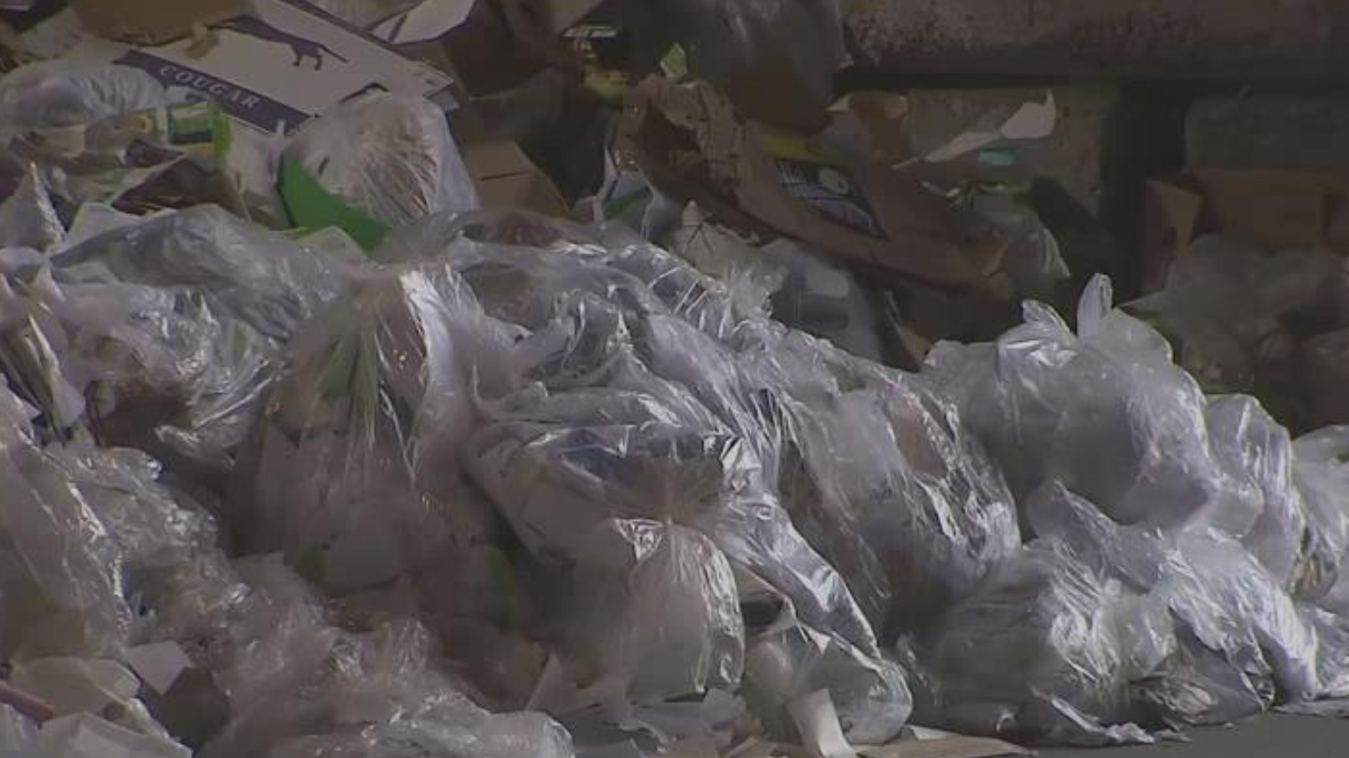 Edmonton to review singleuse item bylaw Video CityNews Edmonton