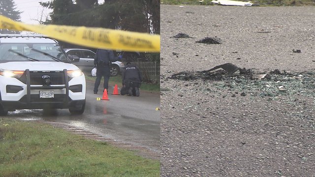 Surrey police investigate connected gunshots and two vehicle fires