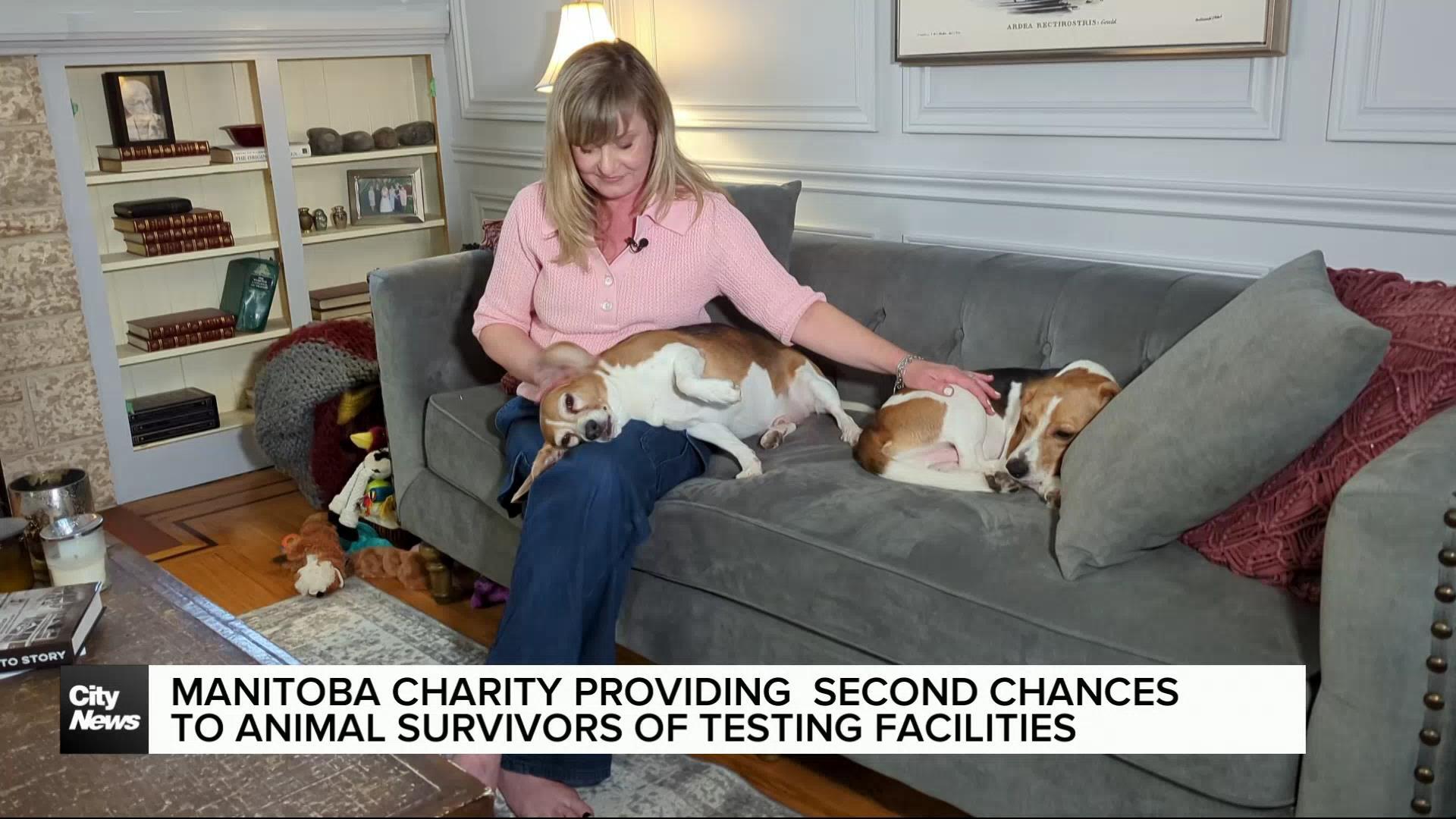Manitoba Charity providing second chances for survivors of animal testing