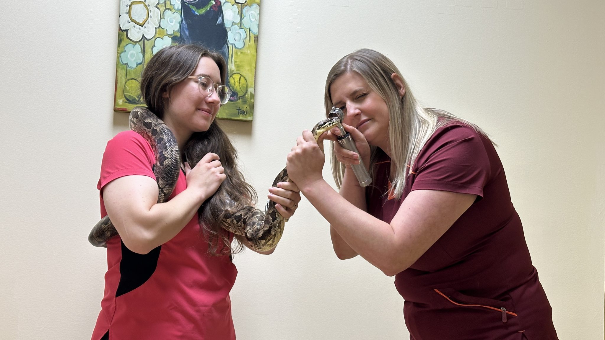 Calls for better education in reptile ownership from Winnipeg rescue