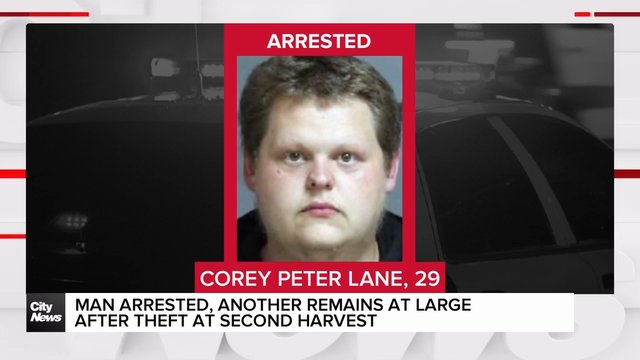 Man, 29, arrested in catalytic convertor theft from Etobicoke food charity