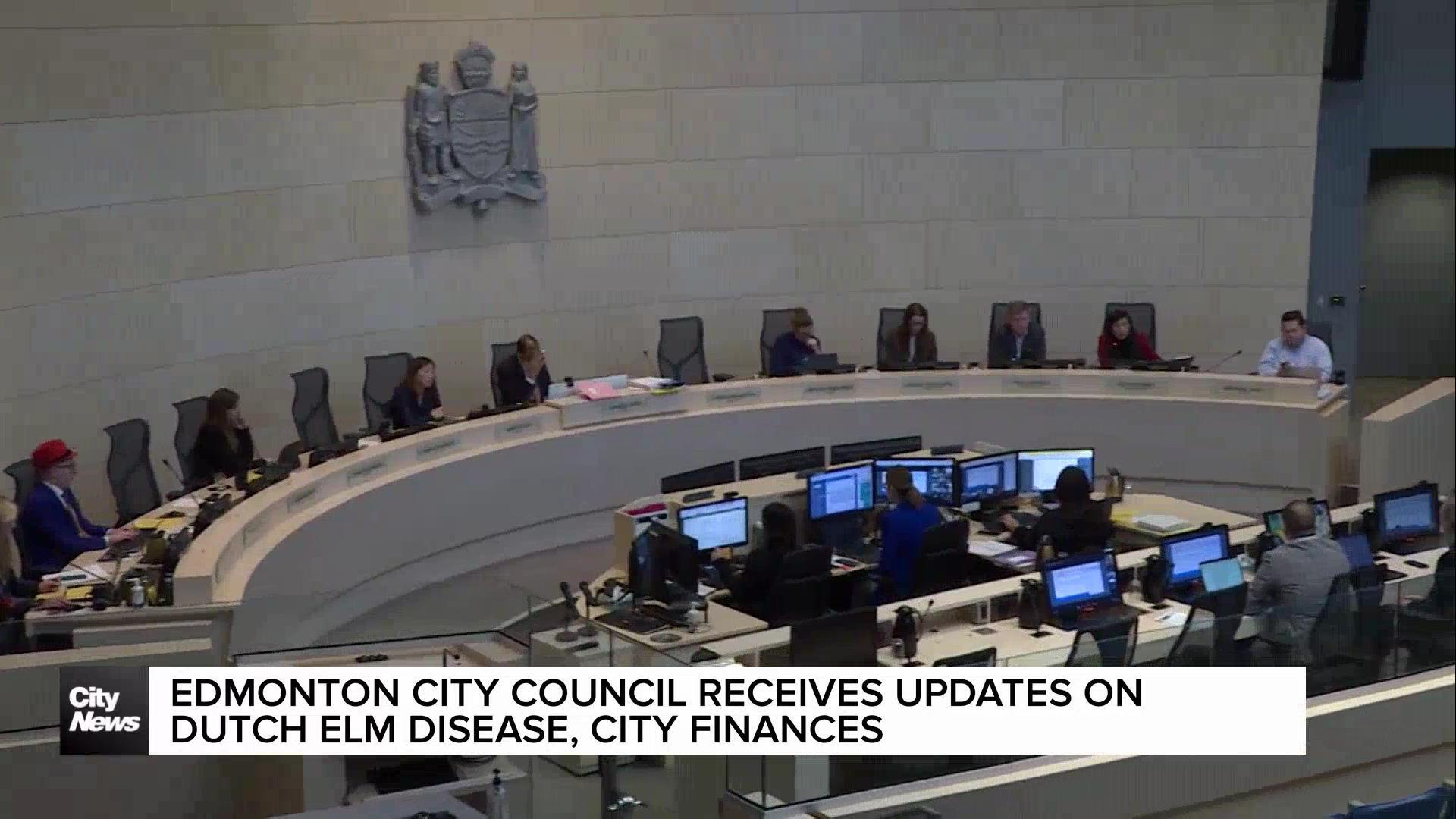 Edmonton city council receives updates on Dutch elm disease, city finances