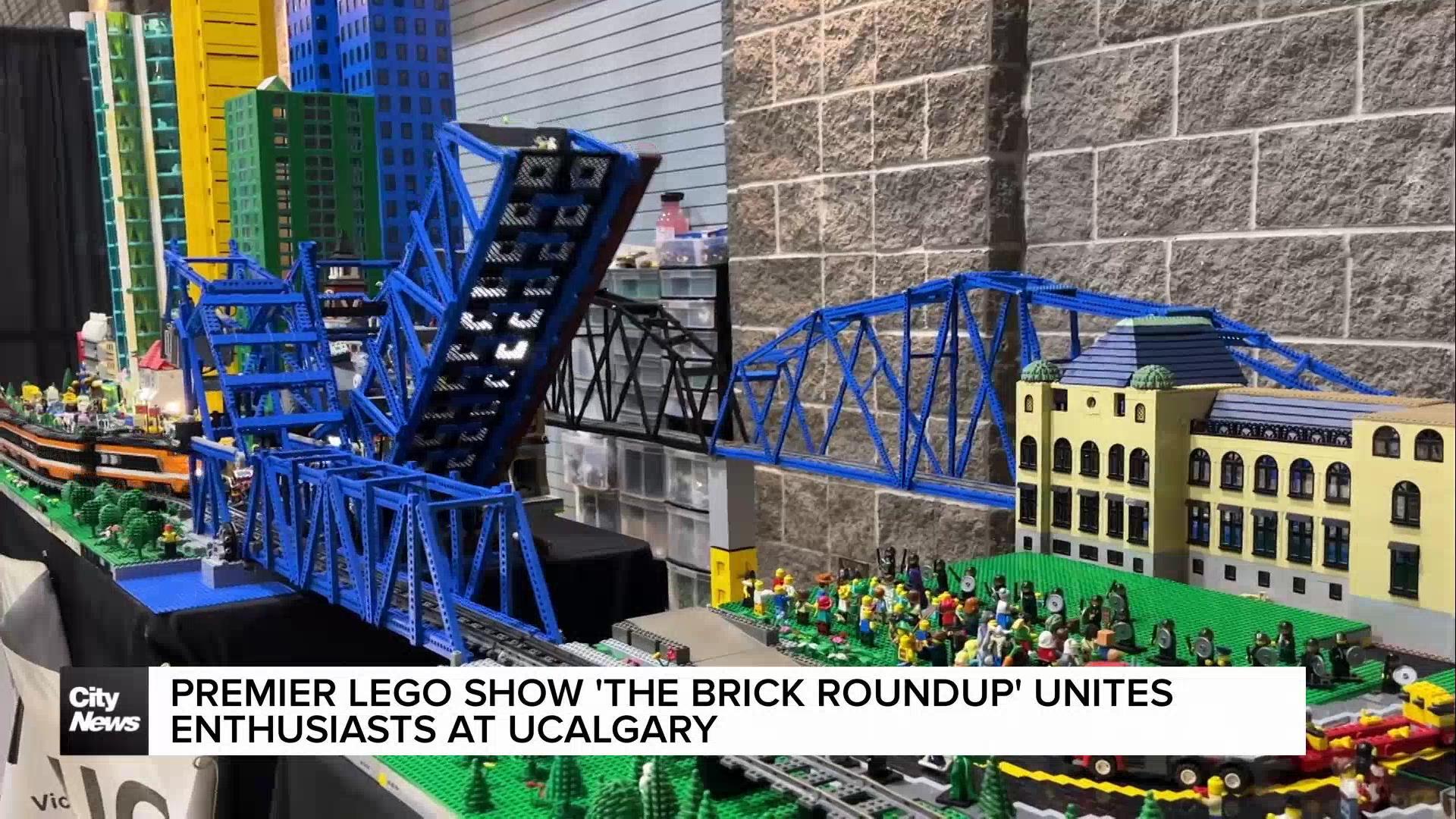 Brick Roundup LEGO Show moves to larger venue at UCalgary