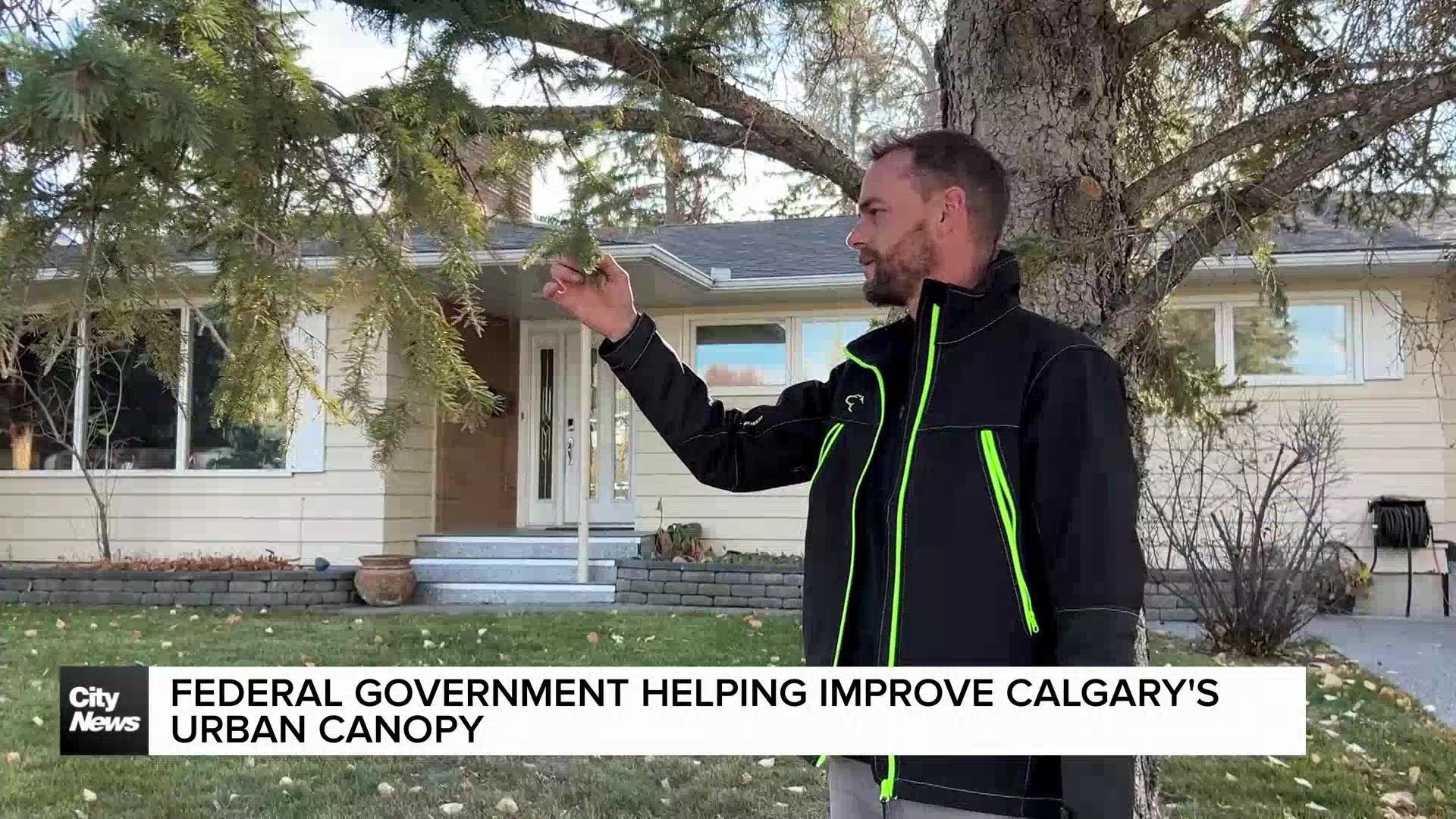 Federal government helping improve Calgary’s urban canopy