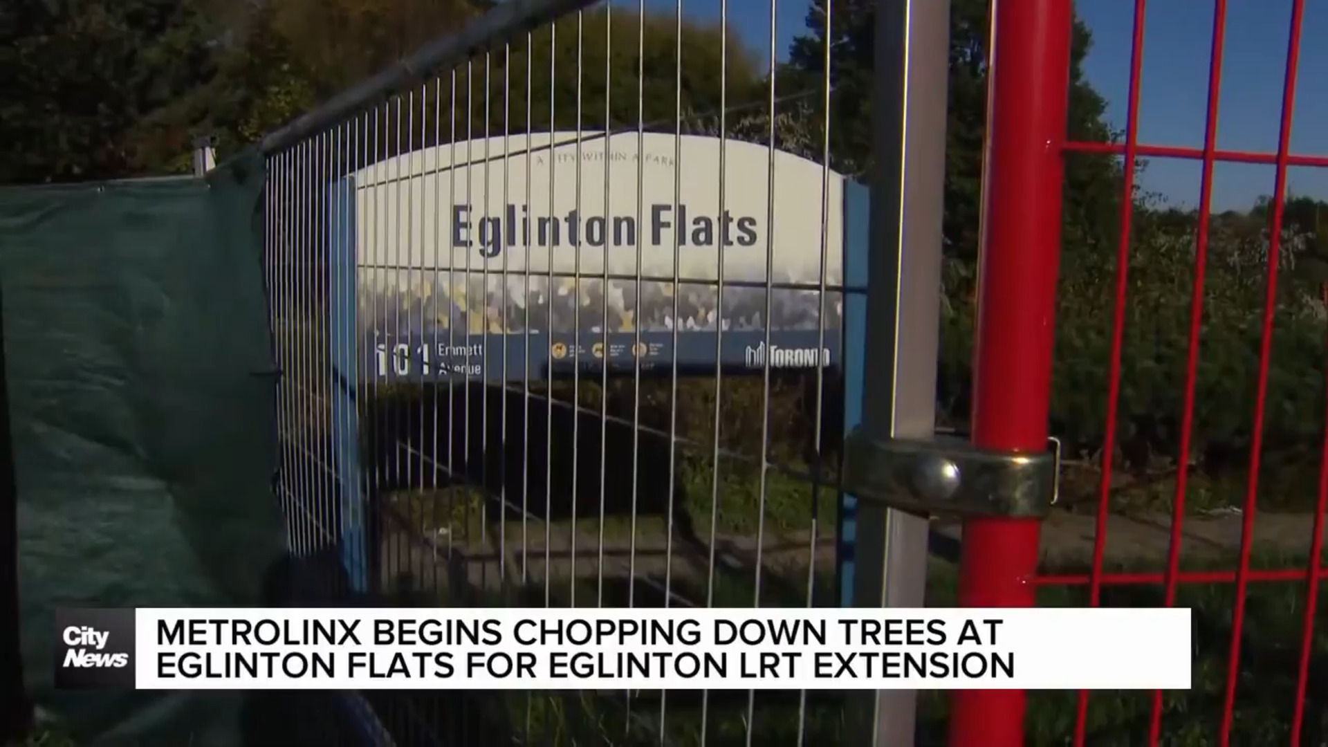 Metrolinx begins tree removal at Eglinton Flats