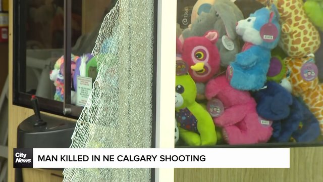 Man killed in NE Calgary shooting