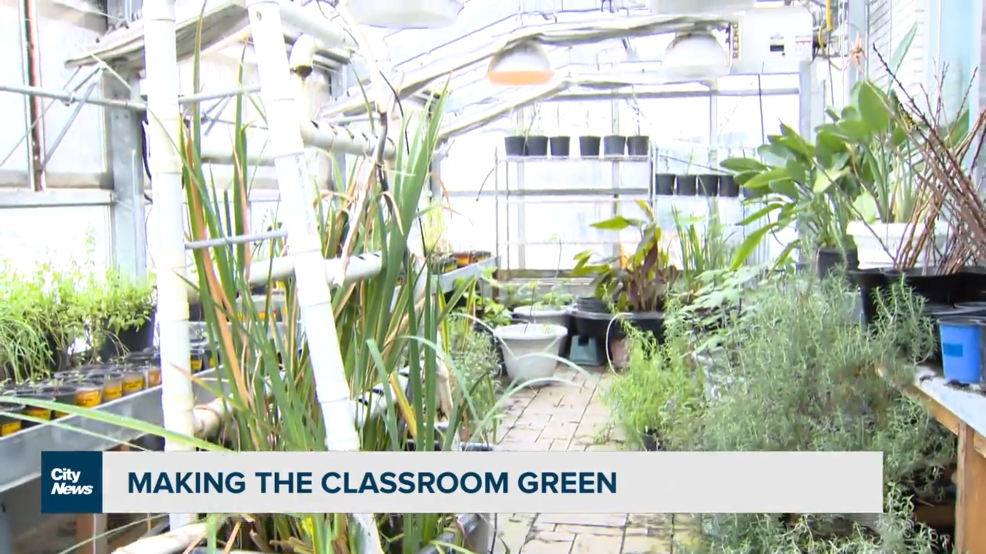 Don Mills school program shows students a greener way forward