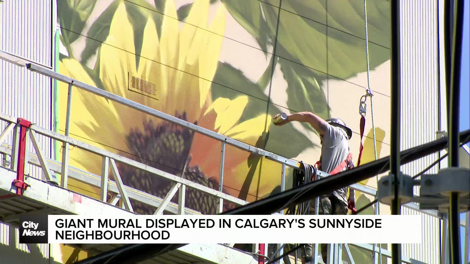 Giant mural on display in Calgary's Sunnyside neighbourhood