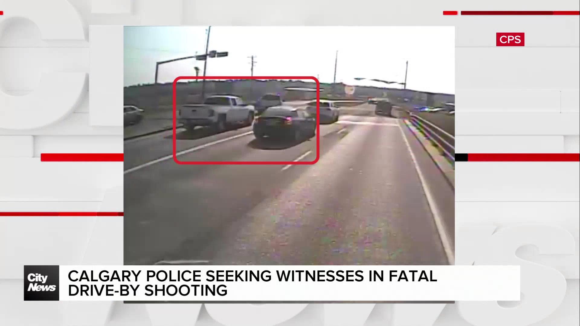 Calgary police seeking witnesses in fatal drive-by shooting