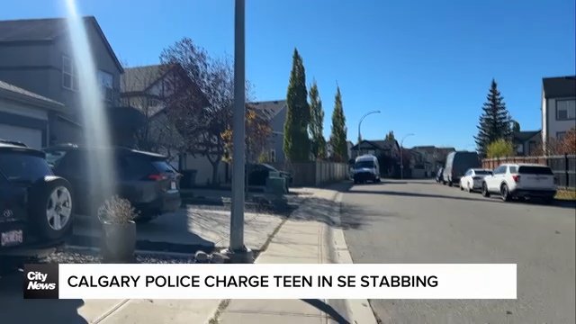 Calgary police charge teen in SE stabbing