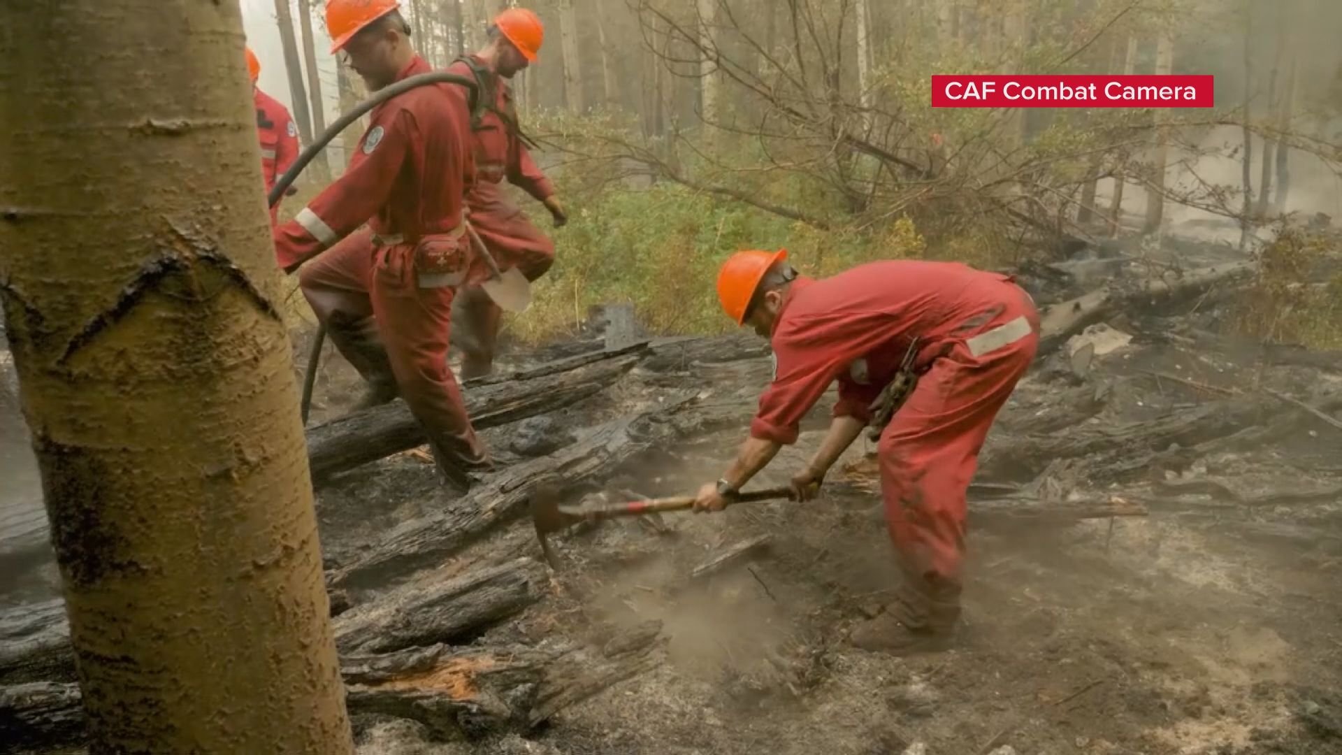 Calls for national approach to wildfire