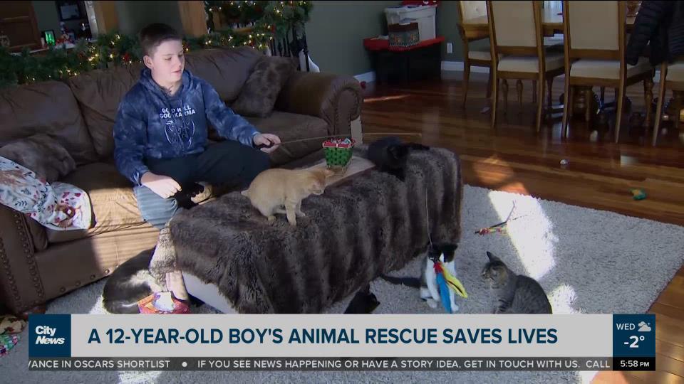 12Yr old animal rescuer sets big birthday goal