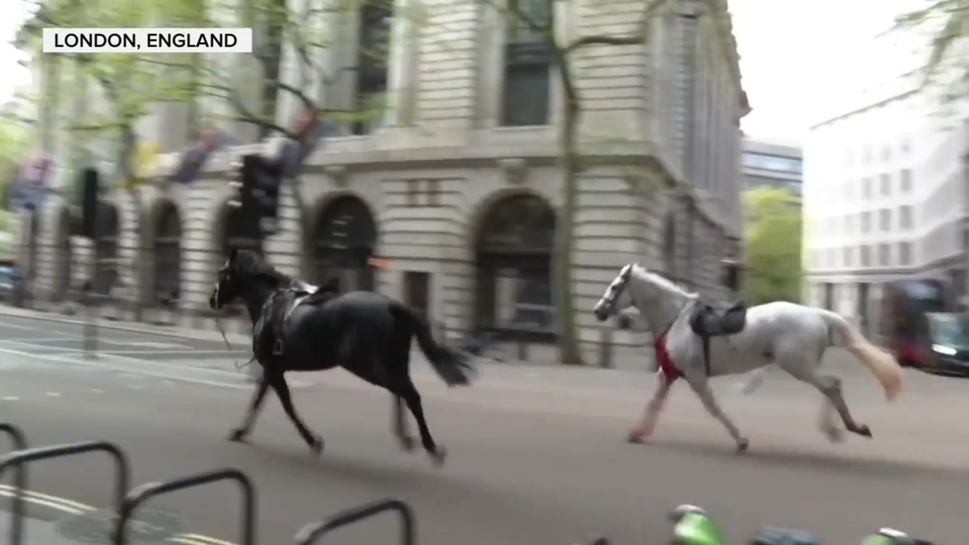 WATCH: Horses run amok in central London