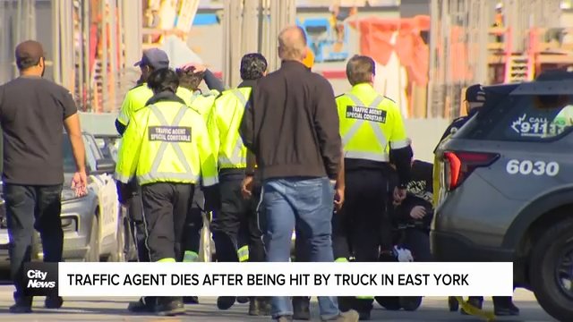 Traffic agent dies after being hit by dump truck in East York