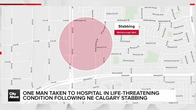 One man taken to hospital in life-threatening condition following stabbing in NE Calgary
