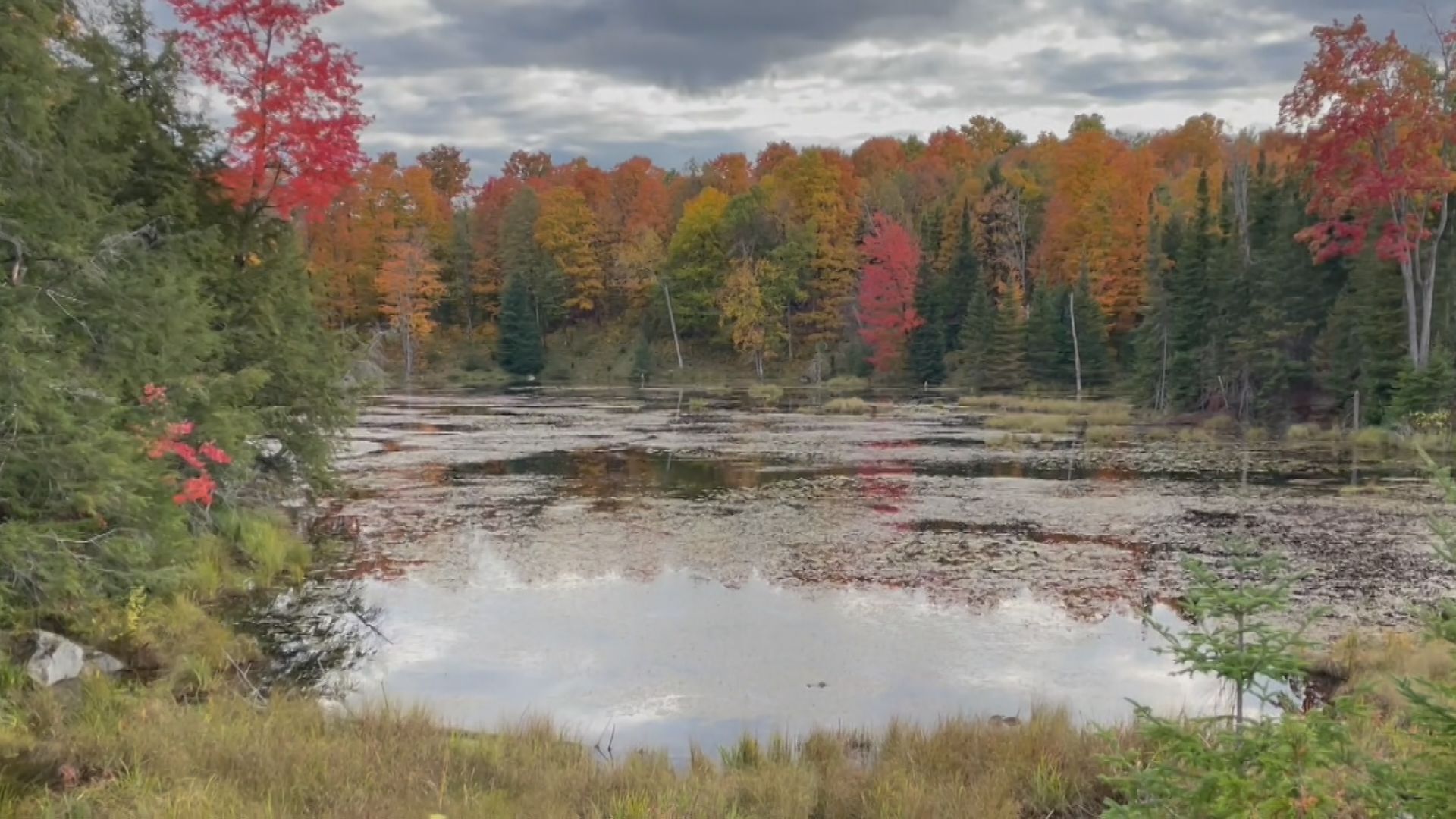 Experience the Colours of the Kawarthas this Fall!