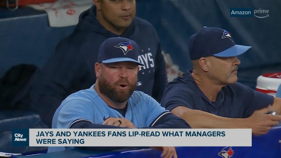 Jays and Yankees fans try and lipread what Managers say CityNews Toronto