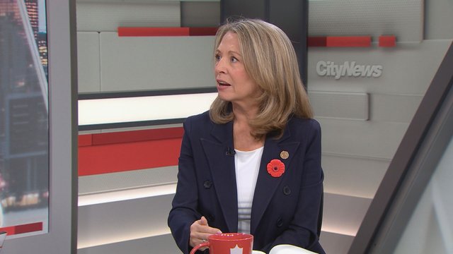 NDP Leader Stiles calls for reversal of OSAP funding cuts