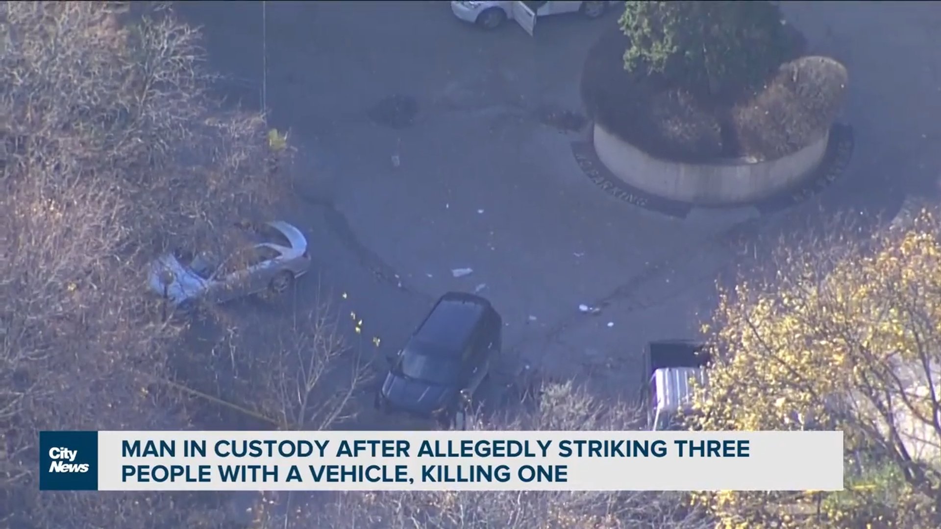 Elderly man charged with murder after allegedly striking people with a ...