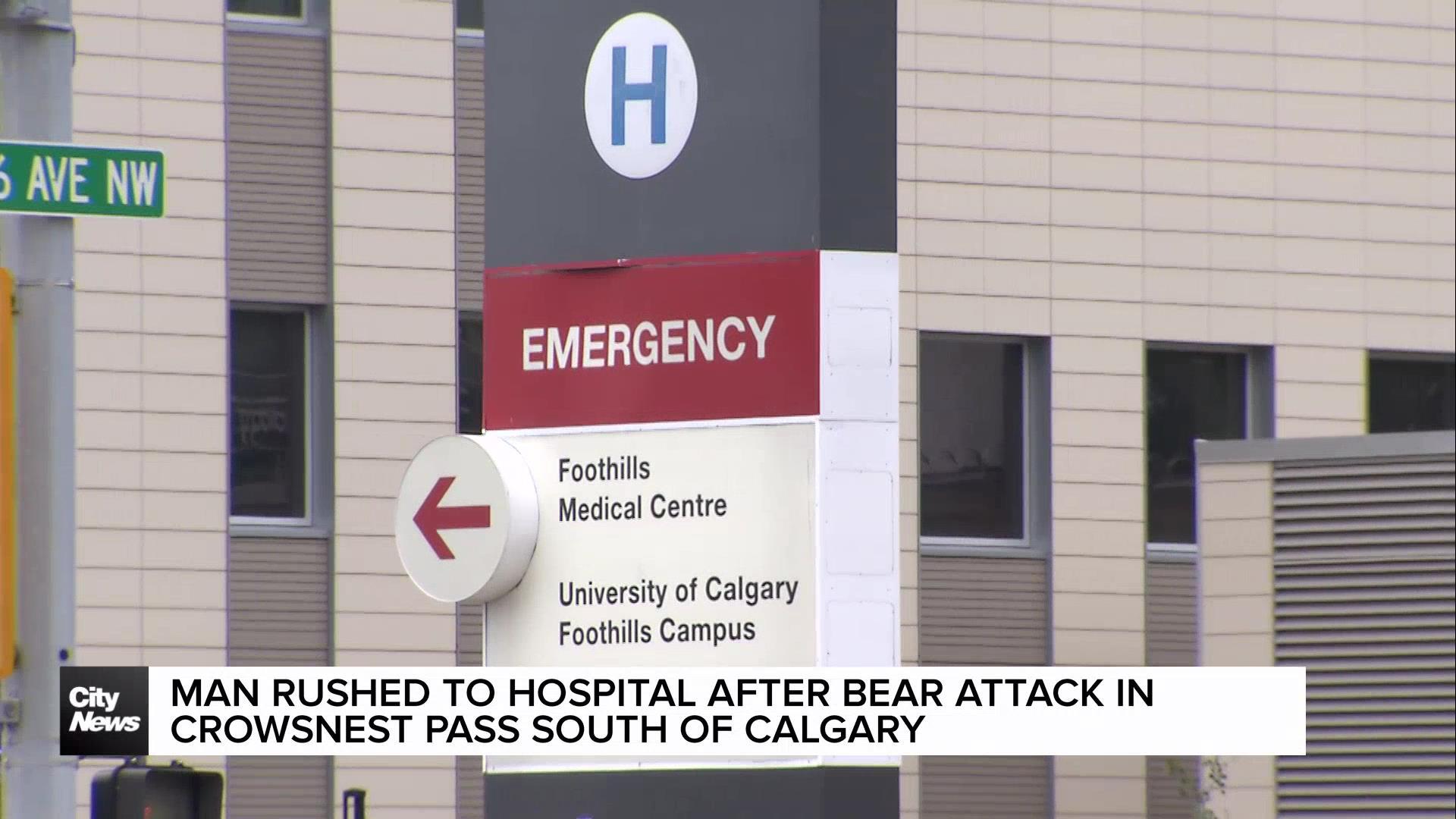 Man rushed to hospital after bear attack South of Calgary