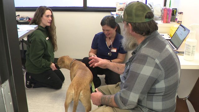 New Vancouver hub providing free pet care for low-income owners