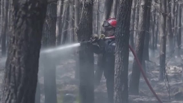 Wildfires force evacuations across Europe