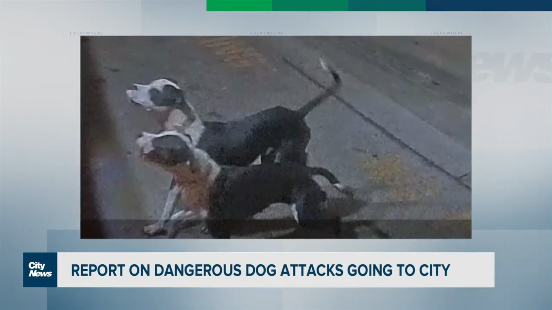 City considering changes to how it responds to dangerous dog attacks