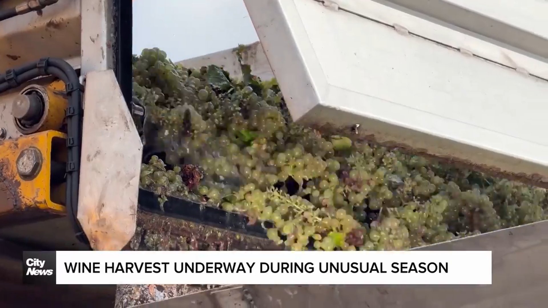 Canadians compensate for loss of American wine market
