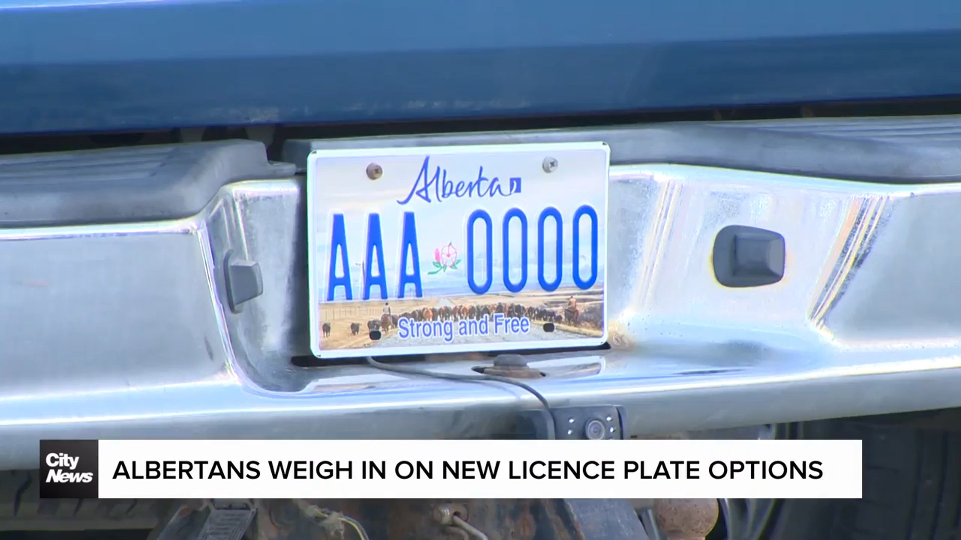 How Much Does A License Plate Weight
