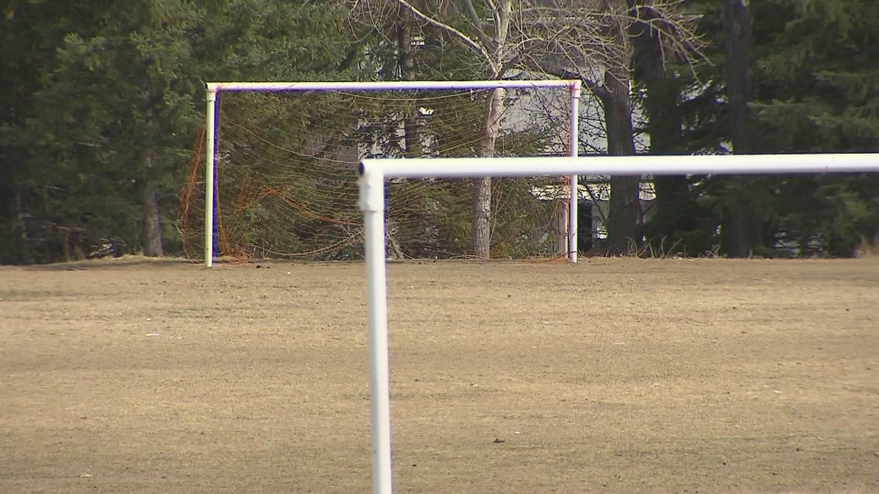 Alberta NDP commits to improve community facilities and kids activity tax  credit - Video - CityNews Edmonton