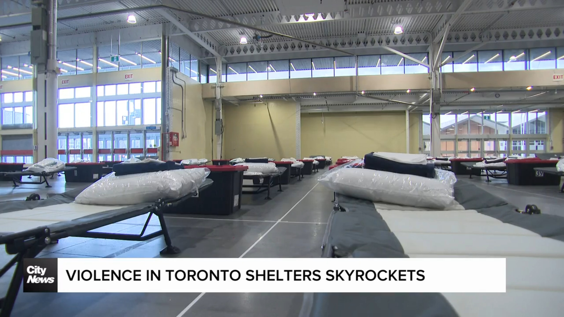 Violent incidents at Toronto shelters increase with overcrowding